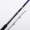 Savage Gear SGS6 Shore Jigging 10'/3.05m 30-100 gr resmi