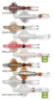 Savage Gear Swim Squid RTF 18 cm 90 gr Silikon Yem  resmi