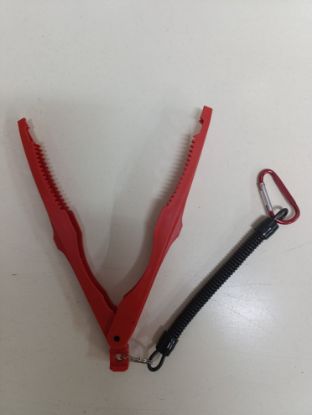 Balık Tutucu Maşa için ayrıntıları göster Balık Tutucu Maşa resmi